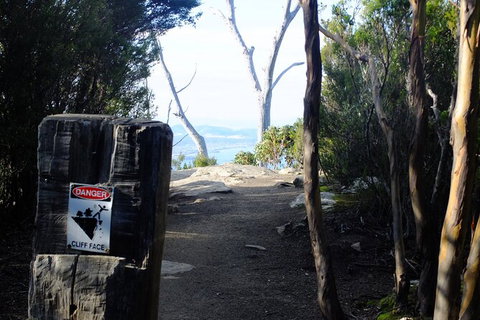 Mt. Wellington Morning Hike + Afternoon Beer & History Walk - Schoolies Week Accommodation 14