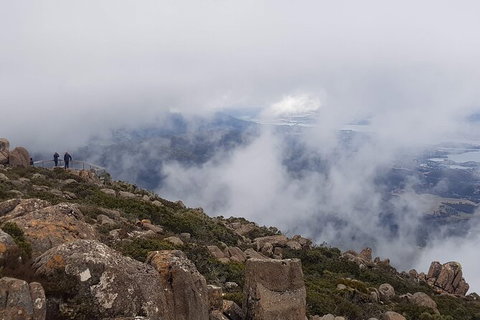 Mt. Wellington Morning Hike + Afternoon Beer & History Walk - Schoolies Week Accommodation 18