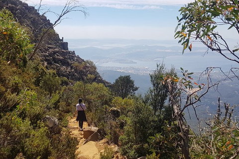 Mt. Wellington Morning Hike + Afternoon Beer & History Walk - Schoolies Week Accommodation 1
