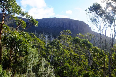 Mt. Wellington Morning Hike + Afternoon Beer & History Walk - Schoolies Week Accommodation 4