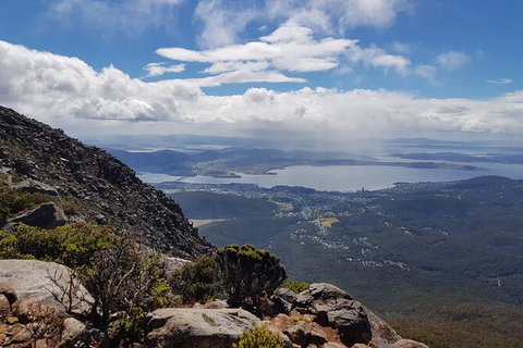 Mt. Wellington Morning Hike + Afternoon Beer & History Walk - Schoolies Week Accommodation 5