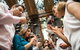 Swan Valley Sunset Wine Tour - Premium Small Group Tour - thumb 2