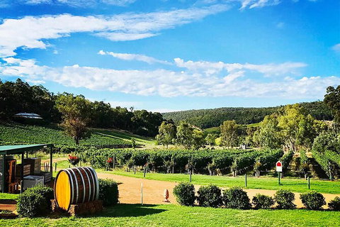 Bickley Valley Wine & Cider Tour - Premium Small Group Tour - Schoolies Week Accommodation 0