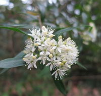 Booderee National Park - Schoolies Week Accommodation