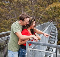 Valley of the Giants Tree Top Walk - Schoolies Week Accommodation