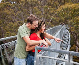 Valley Of The Giants Tree Top Walk - Schoolies Week Accommodation 0