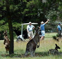 Glen Innes Golf Club - Schoolies Week Accommodation