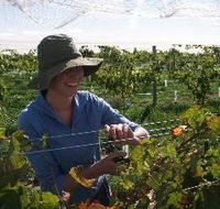 Kingsdale Wines - Schoolies Week Accommodation
