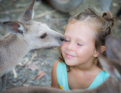 Wildlife Habitat - Schoolies Week Accommodation 2
