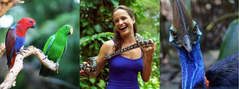 Wildlife Habitat - Schoolies Week Accommodation 1