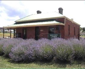  Schoolies Week Accommodation