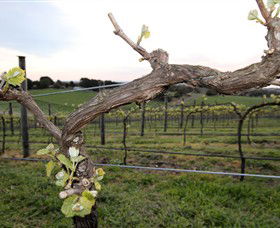 Drysdale VIC Schoolies Week Accommodation