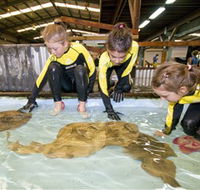 Australian Shark and Ray Centre - Schoolies Week Accommodation