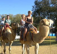 Calamunnda Camel Farm - Schoolies Week Accommodation