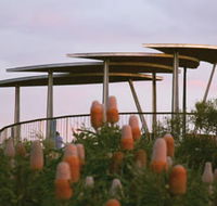 Reabold Hill Summit Boardwalk Bold Park - Schoolies Week Accommodation