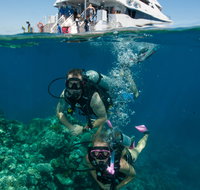 Down Under Cruise and Dive - Schoolies Week Accommodation