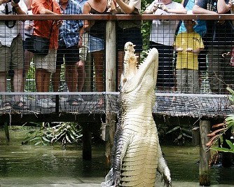 Wangetti QLD Schoolies Week Accommodation