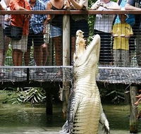 Hartley's Crocodile Adventures - Schoolies Week Accommodation