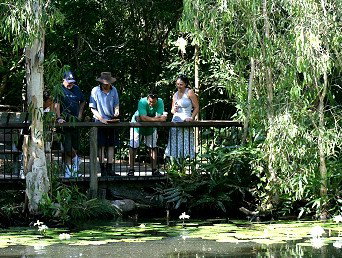Hartley's Crocodile Adventures - Schoolies Week Accommodation 2