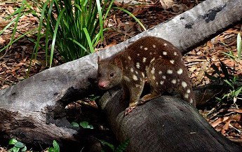 Hartley's Crocodile Adventures - Schoolies Week Accommodation 3