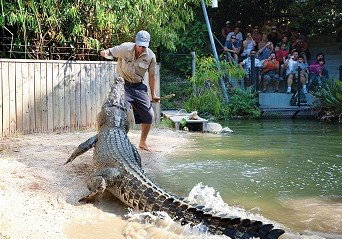 Hartley's Crocodile Adventures - Schoolies Week Accommodation 4