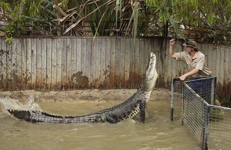 Hartley's Crocodile Adventures - Schoolies Week Accommodation 8