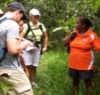Ingan Tours - Spirit of the Rainforest Tour - Schoolies Week Accommodation