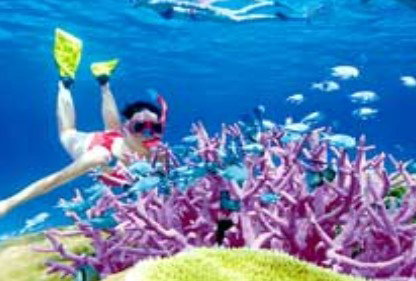 Poseidon Outer Reef Cruises - Schoolies Week Accommodation 2