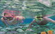 Quicksilver Cruises - thumb 2