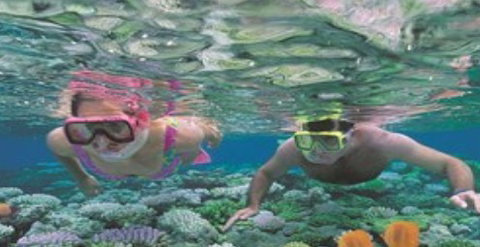 Quicksilver Cruises - Schoolies Week Accommodation 2