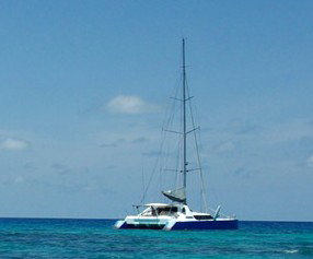 Synergy Reef Sailing - Schoolies Week Accommodation 5