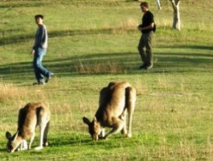 Southern Queensland Country QLD Schoolies Week Accommodation