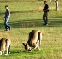Araucaria Ecotours - Schoolies Week Accommodation