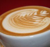 Greenwood Hotel - Schoolies Week Accommodation