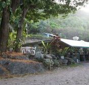 Ellis Beach Bar  Grill - Schoolies Week Accommodation