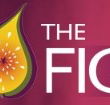 Pickled Fig - Schoolies Week Accommodation