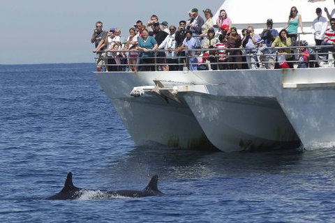 Illawarra Leagues Club - Schoolies Week Accommodation 1