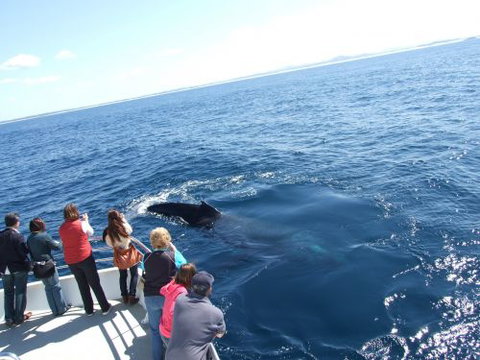 Illawarra Leagues Club - Schoolies Week Accommodation 2