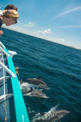 Illawarra Leagues Club - Schoolies Week Accommodation 4