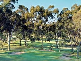 Tanunda Pines Golf Club - Schoolies Week Accommodation 0