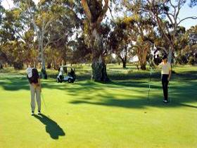 Tanunda Pines Golf Club - Schoolies Week Accommodation 1