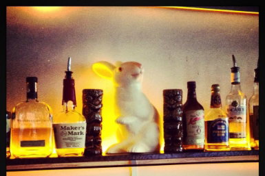 Hairy Canary - Schoolies Week Accommodation 0