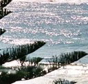 Bondi Social - Schoolies Week Accommodation