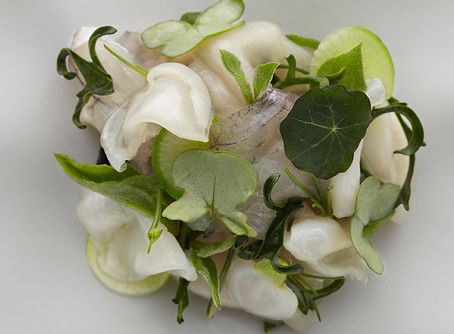 Quay - Schoolies Week Accommodation 1