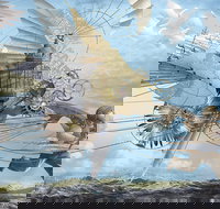 Dreams of Air and Flight - Schoolies Week Accommodation