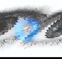 Joe Orton's What the Butler Saw - Schoolies Week Accommodation