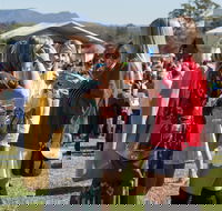 Lovedale Long Lunch - Schoolies Week Accommodation