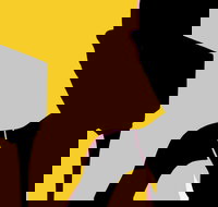 Naked Classics Fantastic Symphonies - Schoolies Week Accommodation