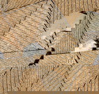 WA Now  Tom Mller Monolith Scores - Virtual Exhibition - Schoolies Week Accommodation