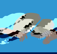 Petrenko's Shostakovich - Morning Symphony - Schoolies Week Accommodation